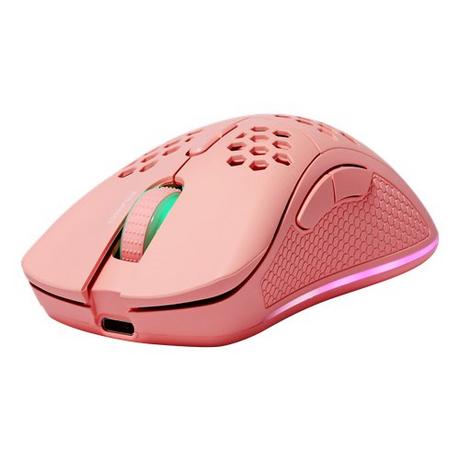 DELTACO  GAM-120-P mouse Mano destra RF Wireless + USB Type-C Laser 4800 DPI 