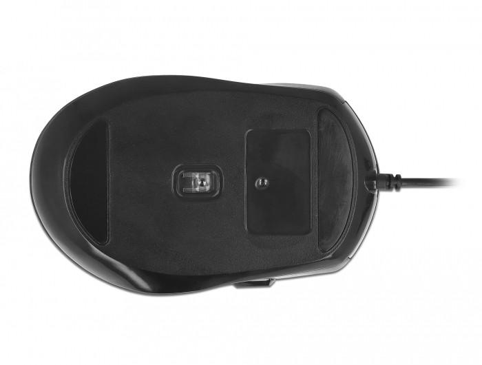 DeLock  12621 souris Droitier USB Type-A Optique 2000 DPI 