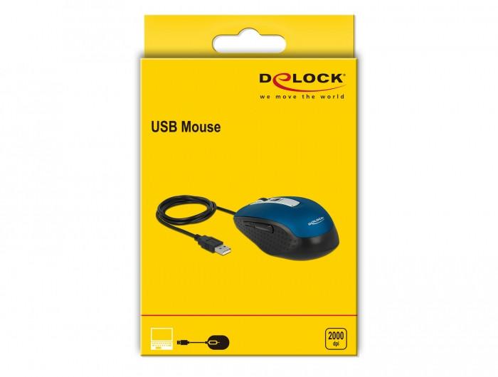 DeLock  12621 souris Droitier USB Type-A Optique 2000 DPI 