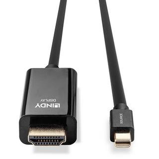 LINDY  Lindy 36927 Videokabel-Adapter DisplayPort HDMI Typ A (Standard) Schwarz 