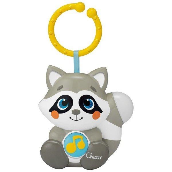 Image of Smoky der Waschbär