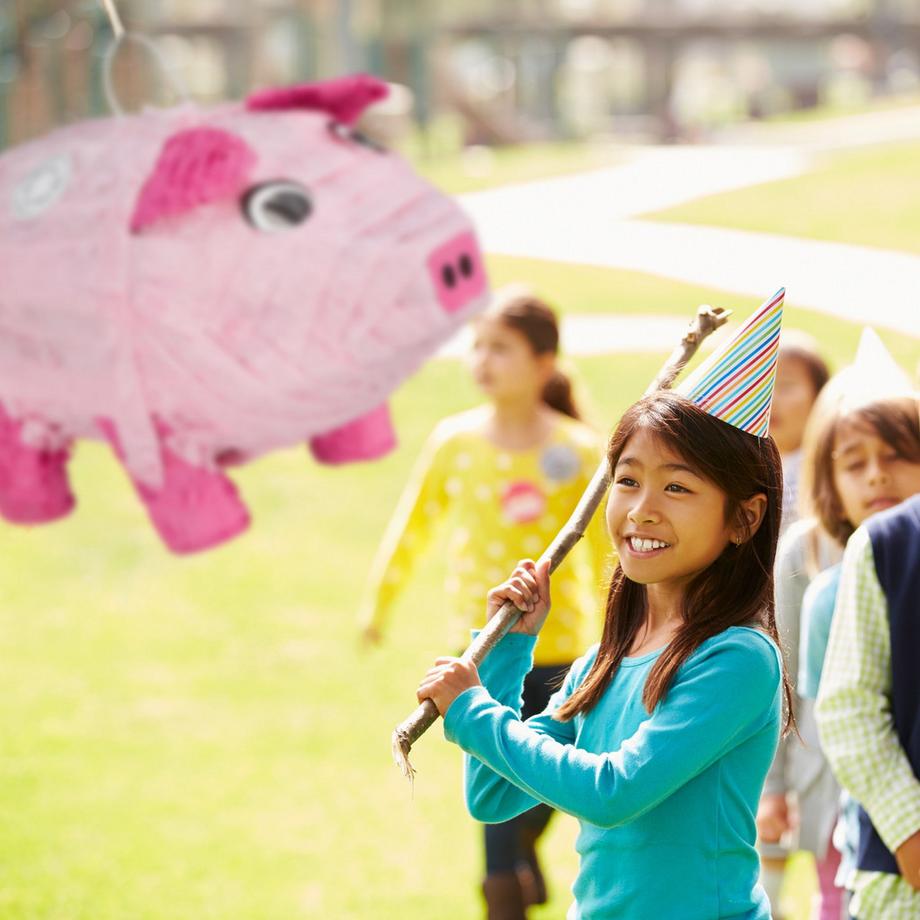 B2X  4 Stk. Pinatorschwein 