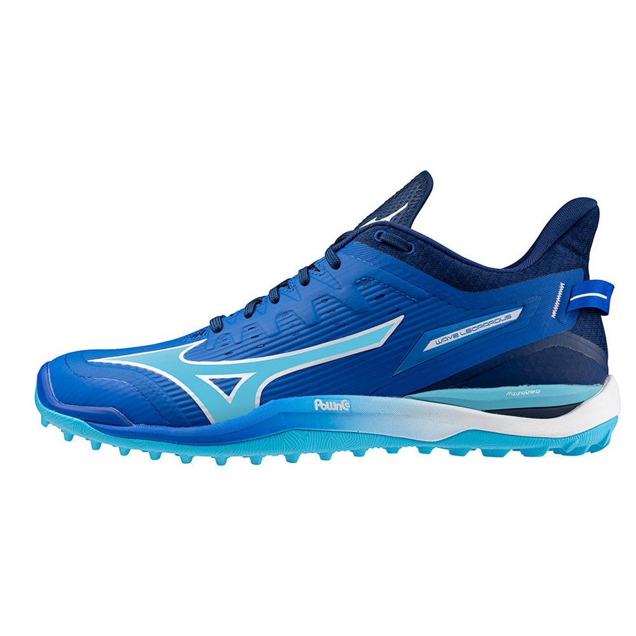 MIZUNO Wave Leopardus Hallenschuhe  