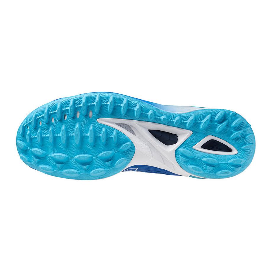 MIZUNO Wave Leopardus Hallenschuhe  