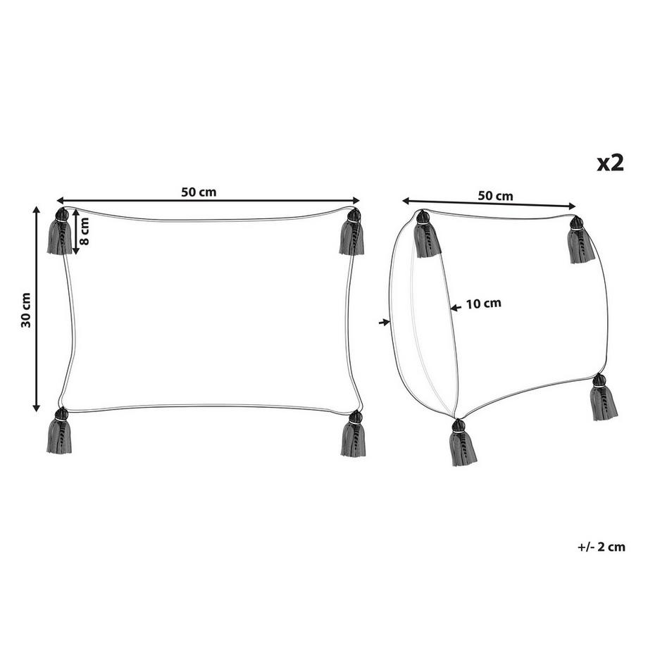 Beliani Lot de 2 coussins décoratifs en Coton  ANTHEMIS  
