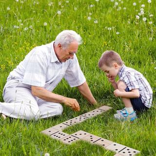 Northio  Dominosteine ​​28 Stück 