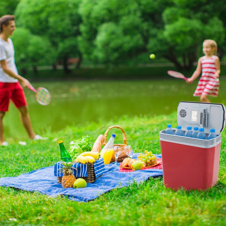 Arebos  Kühlbox 20L Auto Thermoelektrische Warmhaltebox 12V 230V Kühlschrank 