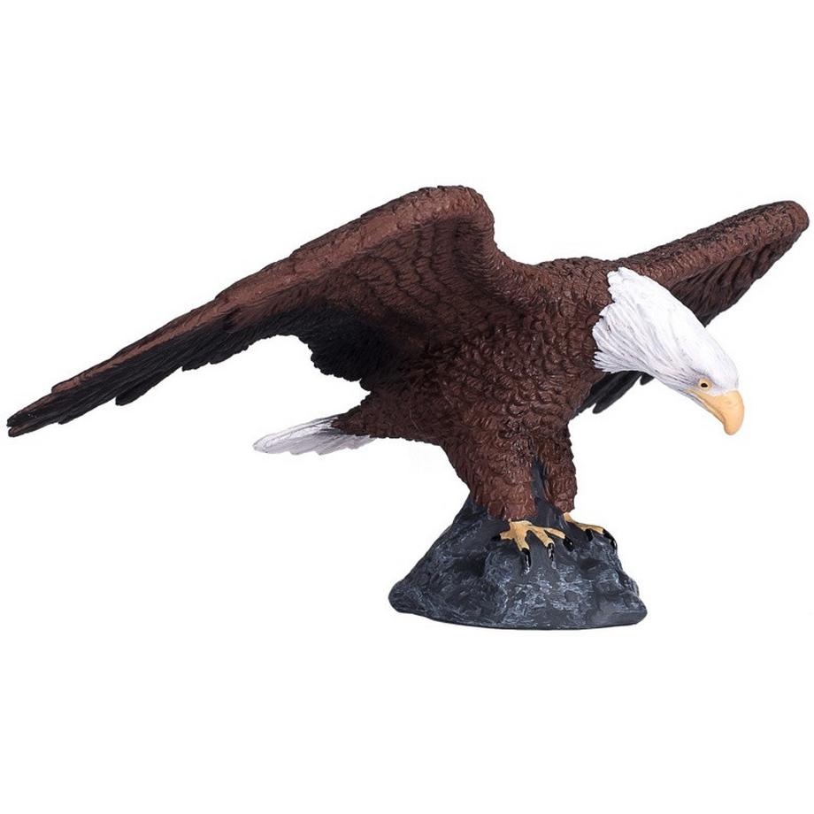 Mojo  Wildlife Weisskopf-Seeadler 