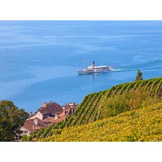 Smartbox  Biglietti per la Seconda Classe sulla crociera panoramica del Lavaux per 2 - Cofanetto regalo 