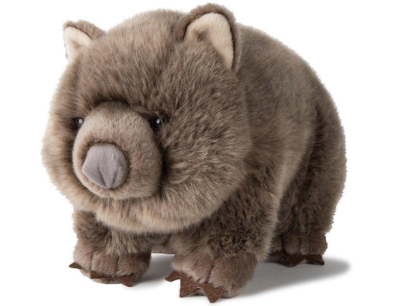 Image of Plüsch Wombat (28cm)