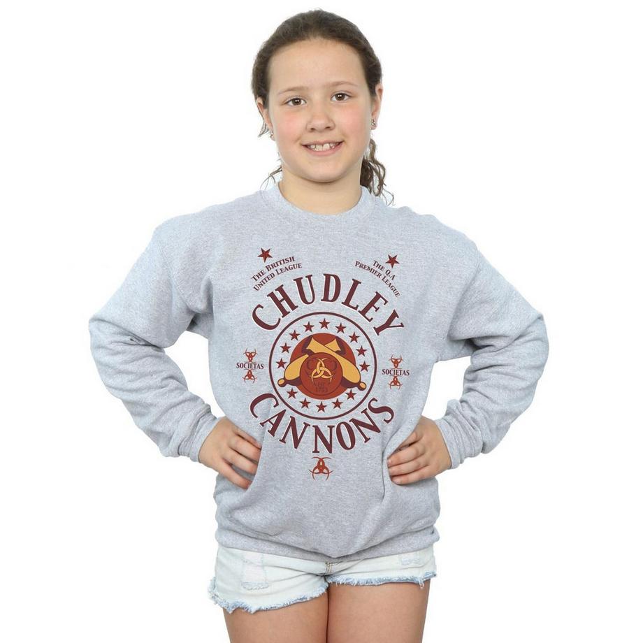 Harry Potter  Chudley Cannons Sweatshirt 