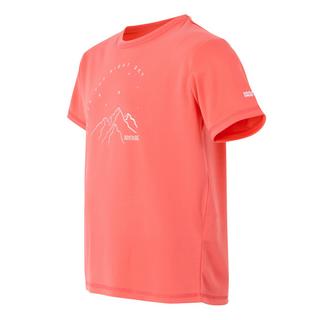 Regatta  Alvarado IX TShirt 