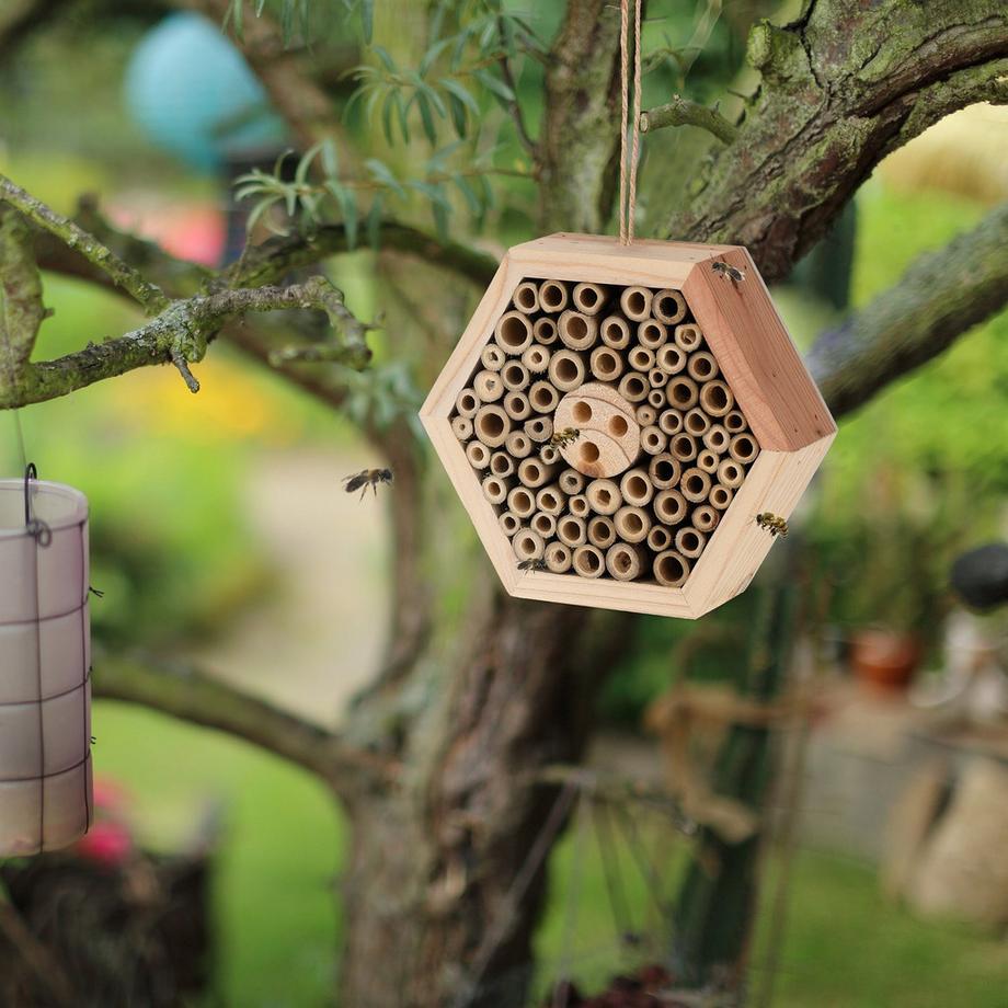 B2X Hôtel à insectes en bois  