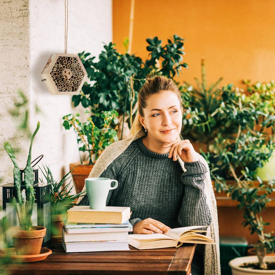 B2X Hôtel à insectes en bois  