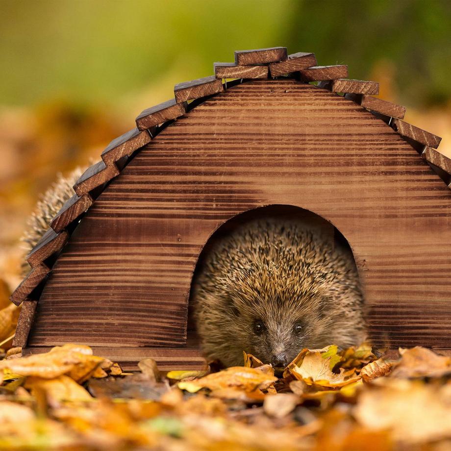 Northix  Igelhaus mit Boden 