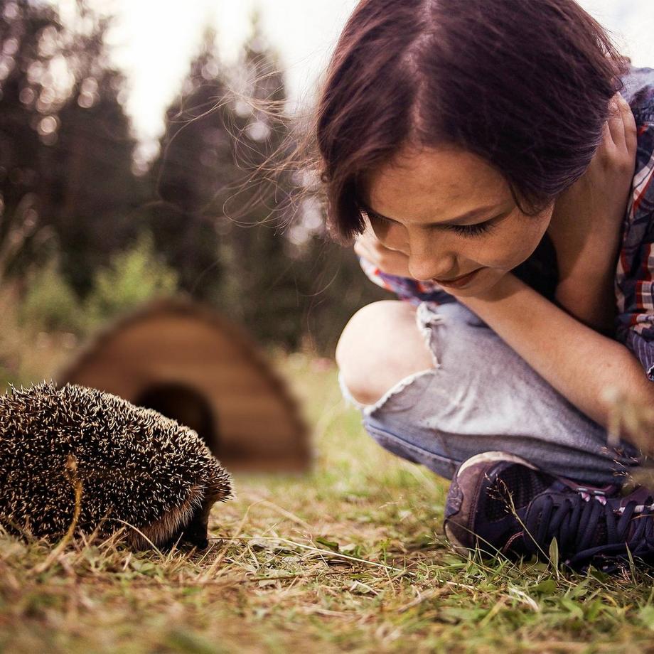 Northix  Igelhaus mit Boden 