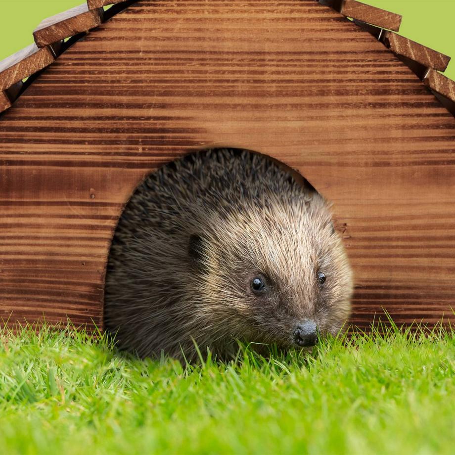 Northix  Igelhaus mit Boden 