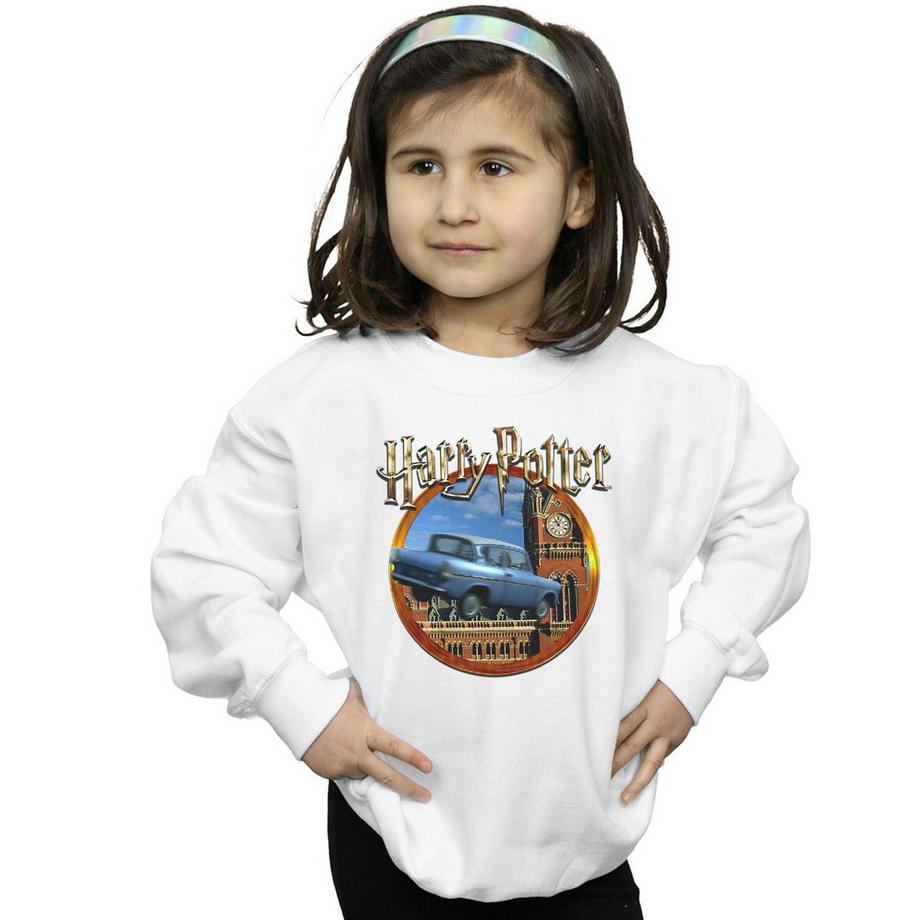 Harry Potter  Sweatshirt 