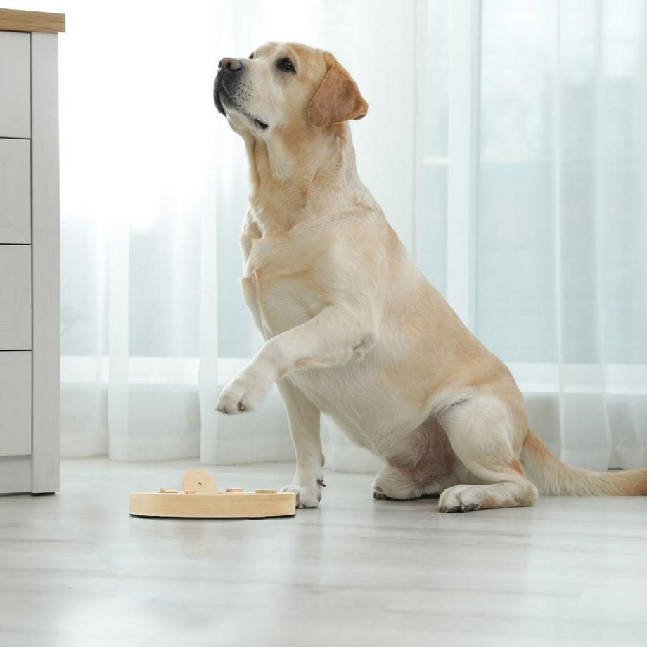 Northio  Jouets intelligents pour chiens 