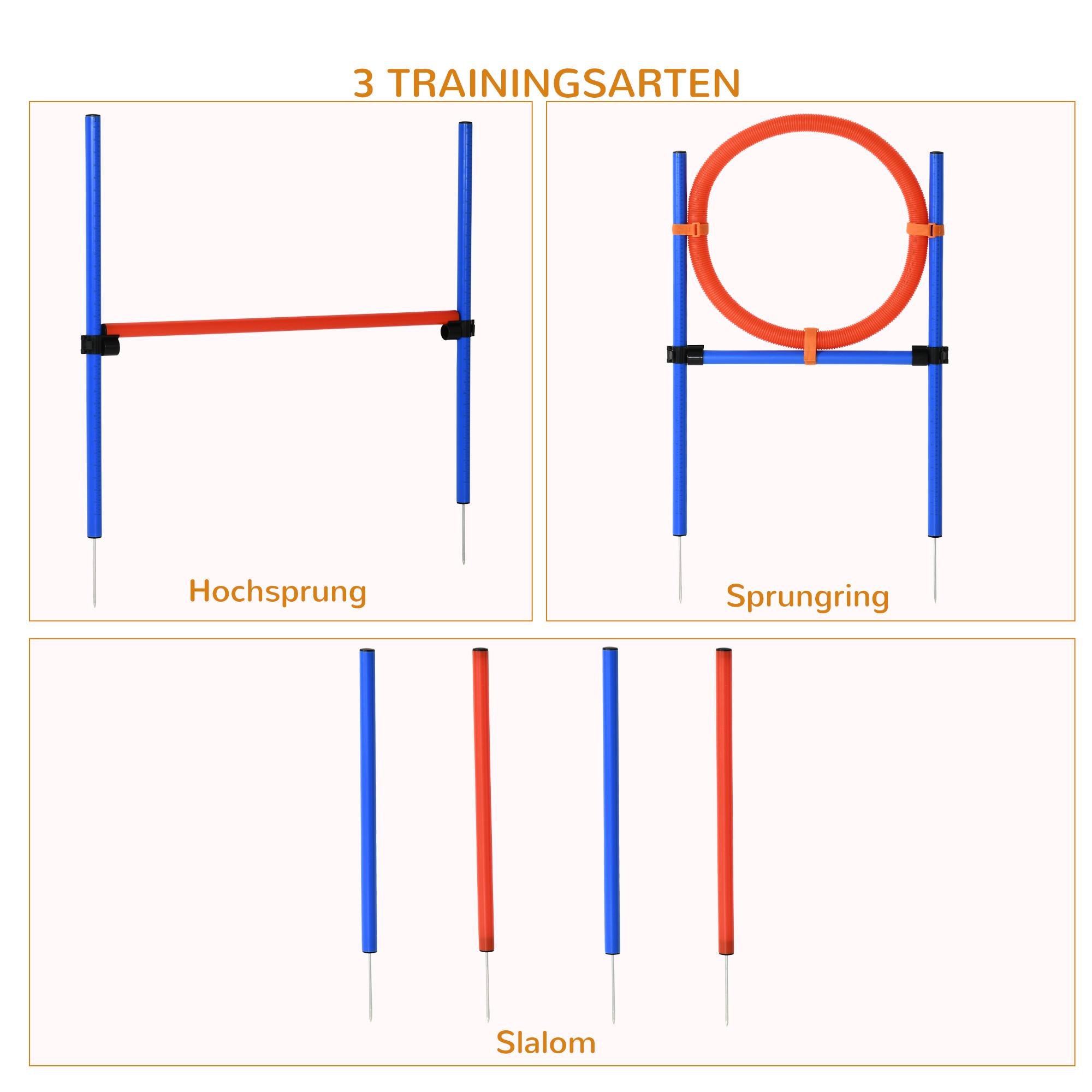 Northio Attrezzatura Per Addestramento Per L'Agilità Del Cane, Set Per Esercizi Di Agilità, Set Per L'Agilità Del Cane, Area Di Addestramento Per Sport Per Cani 3 In 1, Blu+Rosso  