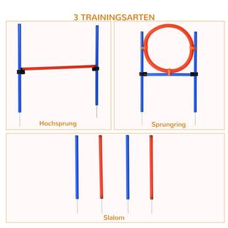 Northio Attrezzatura Per Addestramento Per L'Agilità Del Cane, Set Per Esercizi Di Agilità, Set Per L'Agilità Del Cane, Area Di Addestramento Per Sport Per Cani 3 In 1, Blu+Rosso  