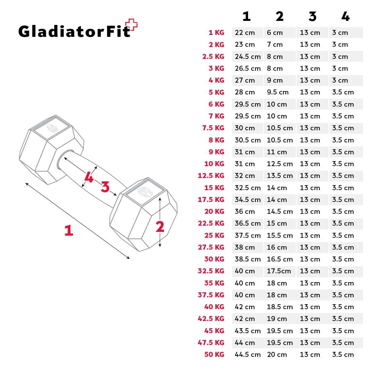 GladiatorFit  Haltère hexagonal "Hex Dumbbell" en caoutchouc GladiatorFit 