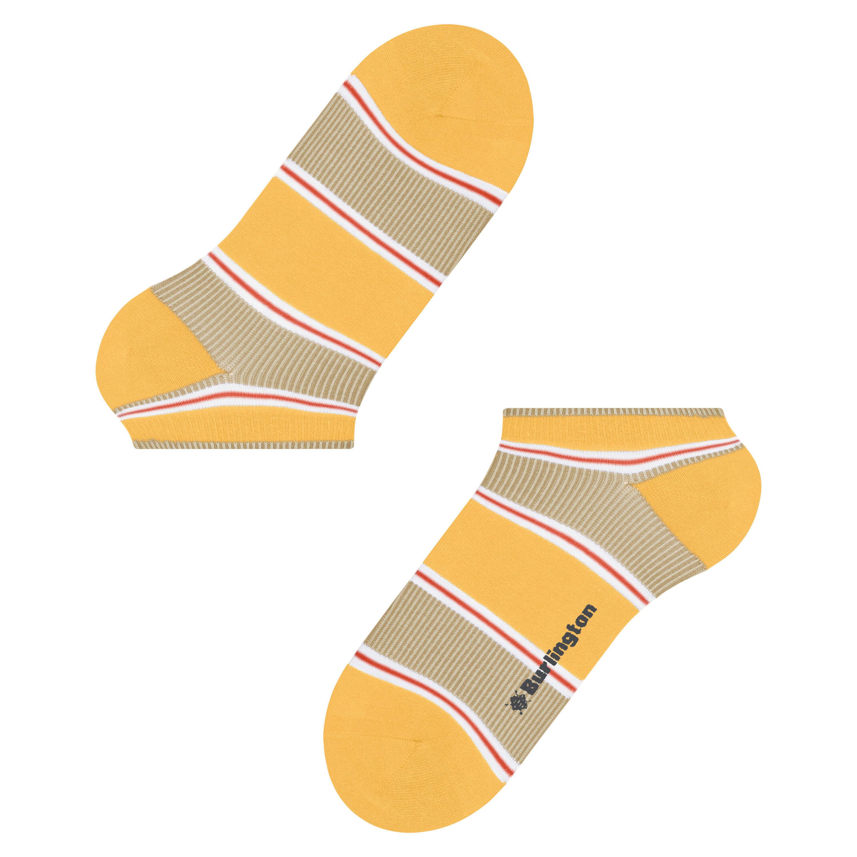 Image of Niedrige Socken Rowing Club Herren 40-46