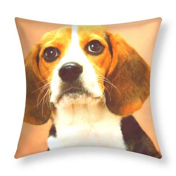 Set 2 copricuscini Beagle Dog Design