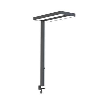 Lampe de bureau LED avec pince de table Flare à intensité variable anthracite