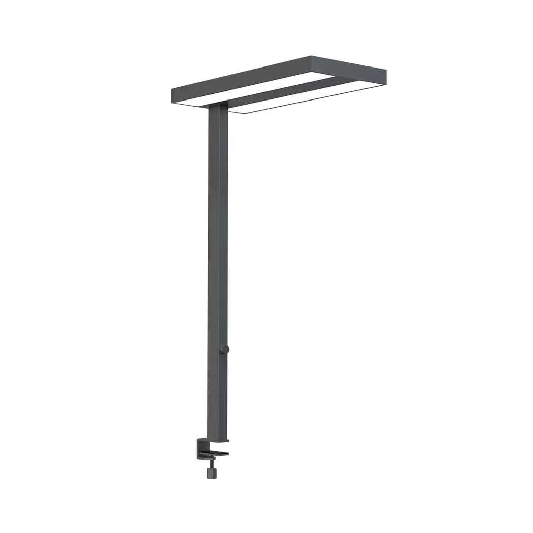 Contini – LED Büro-Leuchte mit Tischklemme Flare dimmbar anthrazit, One Size