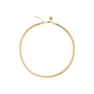 SIDANG  Colliers AMORA 