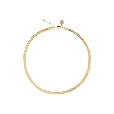 SIDANG  Colliers AMORA 