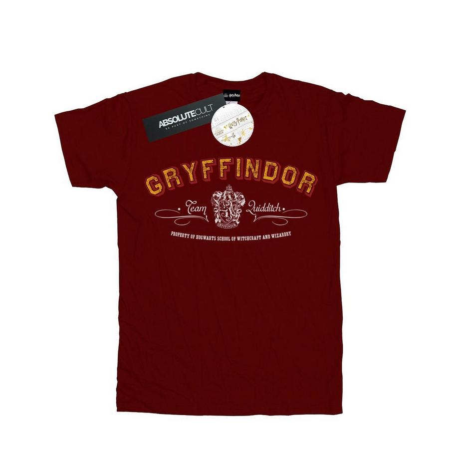 Tshirt GRYFFINDOR QUIDDITCH