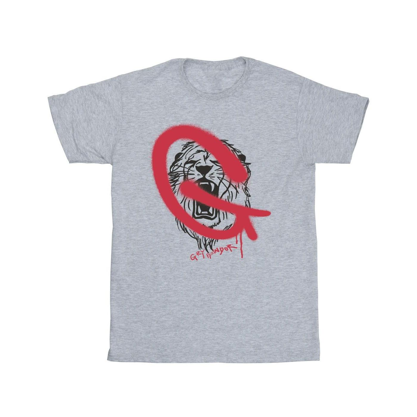 Image of Gryffindor Pop Spray Tshirt Herren Grau M