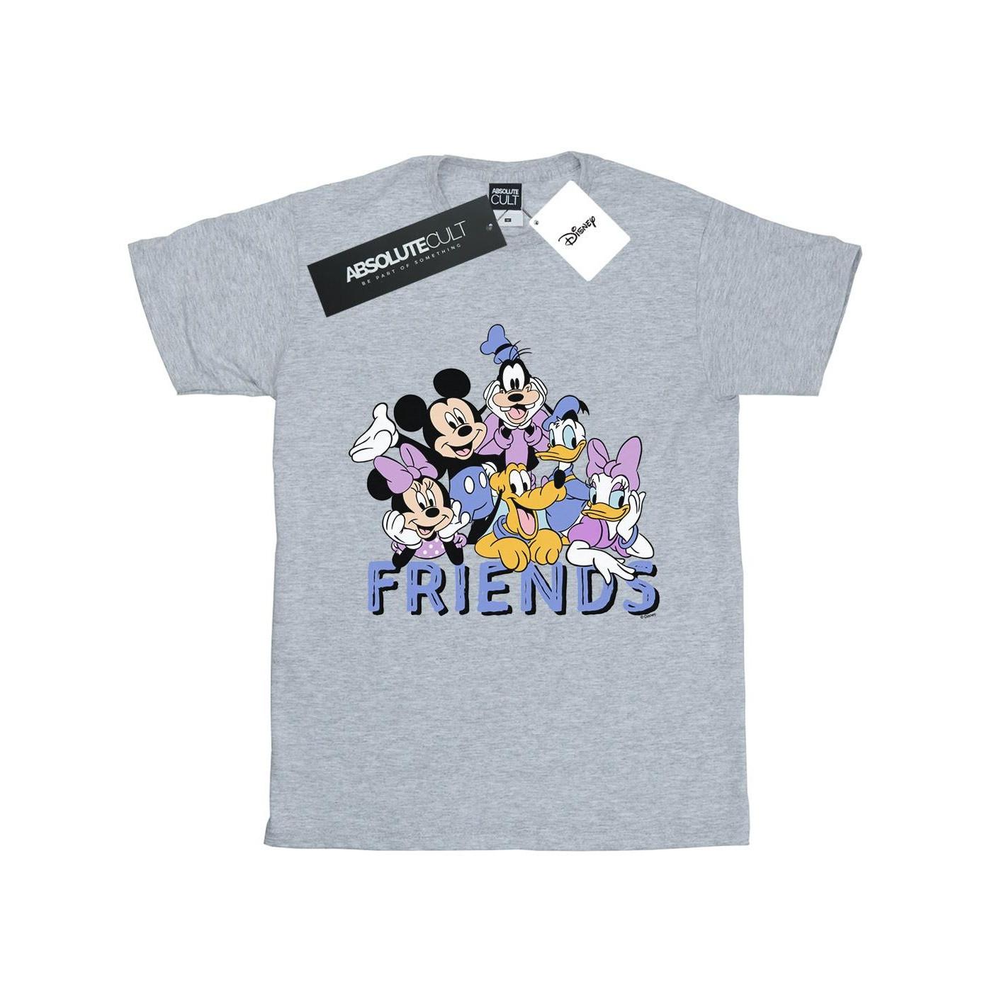 Image of Classic Friends Tshirt Damen Grau 5XL