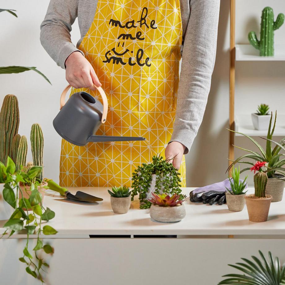 B2X  Gießkanne für Topfpflanzen 1,7 Liter 