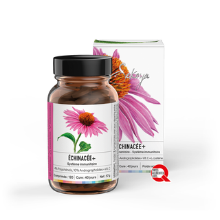 Sekoya Swiss  Echinacea + | Gegen Erkältungen 