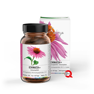Echinacea + | Gegen Erkältungen