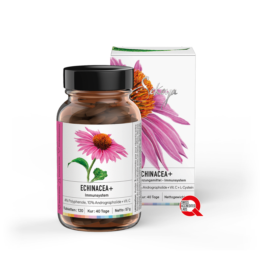 Echinacea + | Gegen Erkältungen