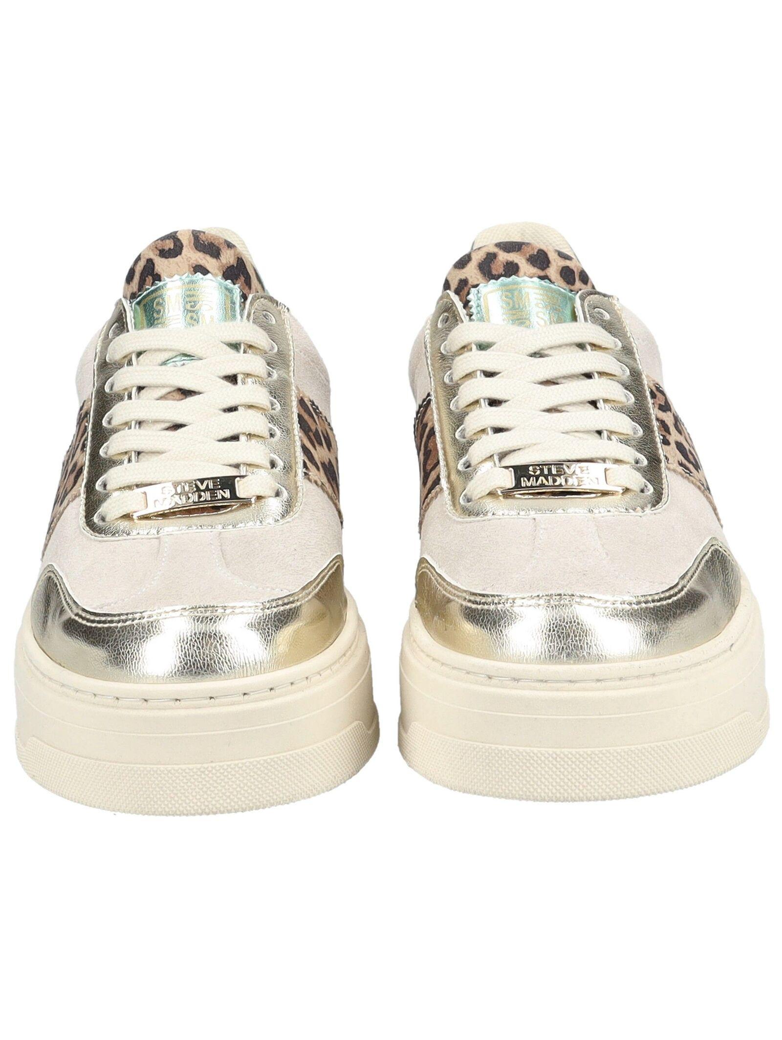 STEVE MADDEN  Sneaker SM11003414 