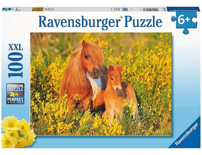 Image of Puzzle Shetlandponys (100XXL)
