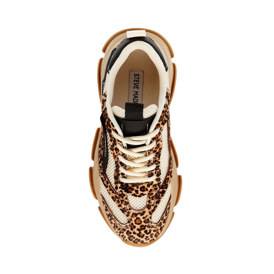 STEVE MADDEN  sneakers da possessionl-e 