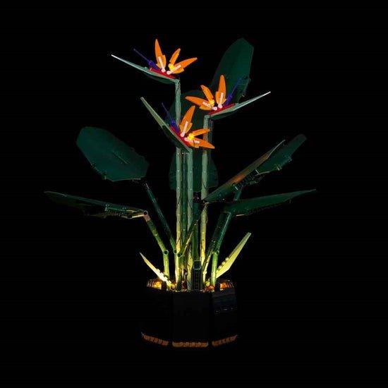 Image of Light My Bricks 103255 Bauspielzeug-Zubehör Beleuchtungsset Orange, Gelb Gelb Bunt