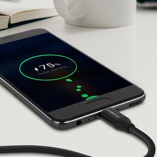 Akashi  Akashi USB-C/USB Kabel, 2m – Schwarz 