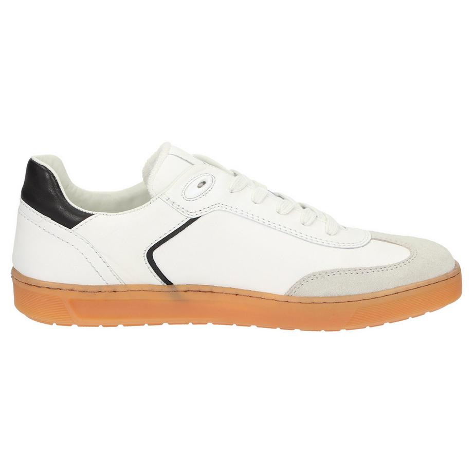 Sioux Tedroso-708 Sneakers Style Tennis  
