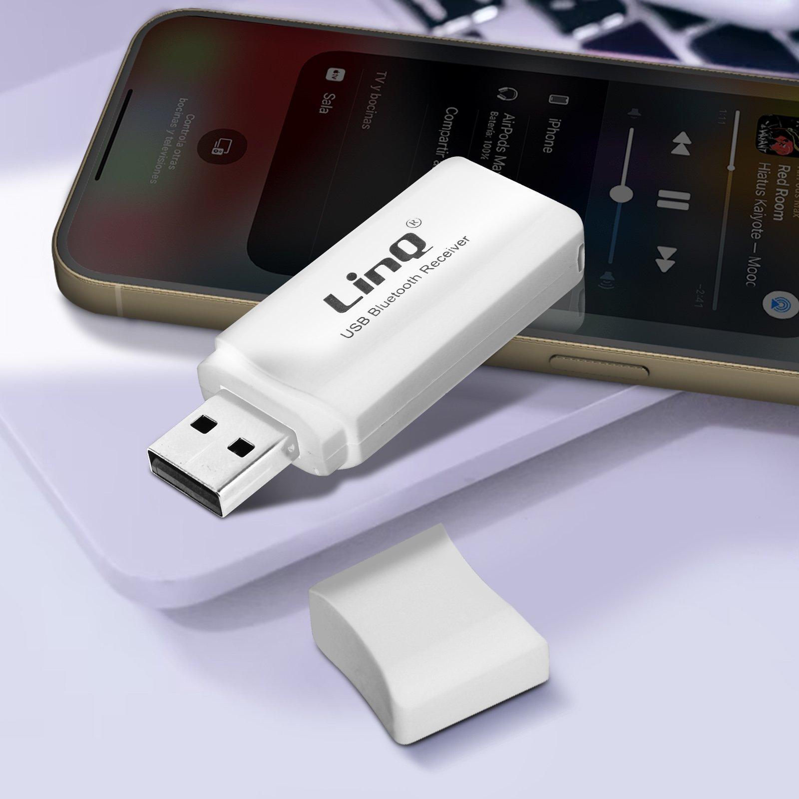 Avizar  Ricevitore audio USB + uscita jack LinQ 