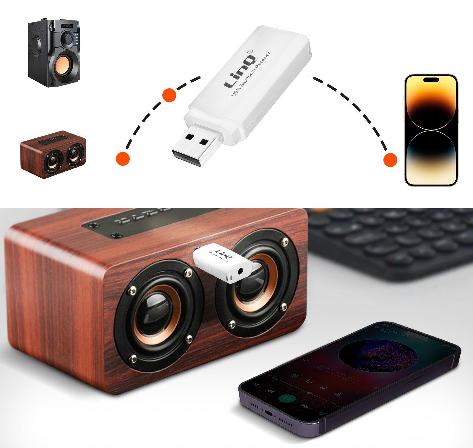 Avizar  Ricevitore audio USB + uscita jack LinQ 