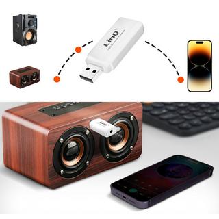 Avizar  Ricevitore audio USB + uscita jack LinQ 