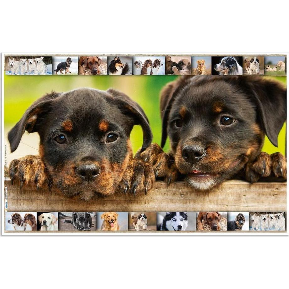 HERMA Schreibunterlage Hunde  