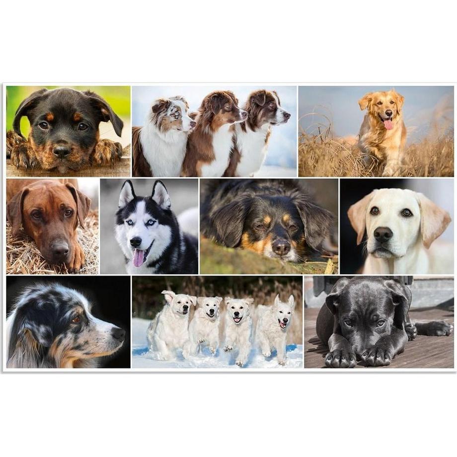 HERMA Schreibunterlage Hunde  